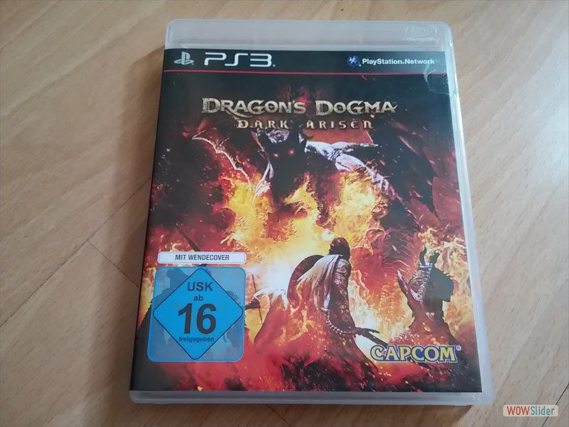dragons Dogma